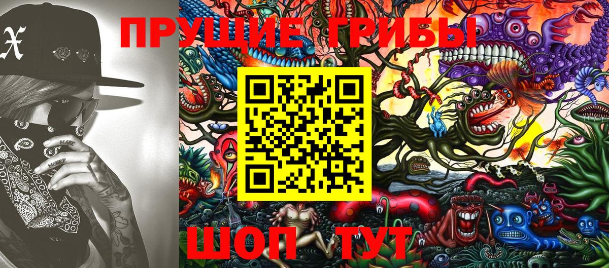 Верхняя Пышма  Галлюциногенные грибы Psilocybine cubensis  Вход с VPN 